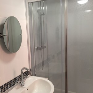 Shower With Sink